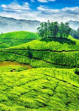 Munnar-Marayoor